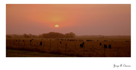 "`Atardecer en el campo`" de Jorge A. Cceres