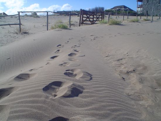 "Mar de las Pampas" de Nora Grassi