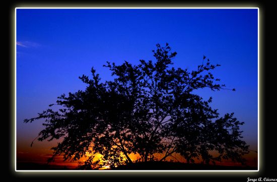 "` Atardecer en la barda 1`" de Jorge A. Cceres