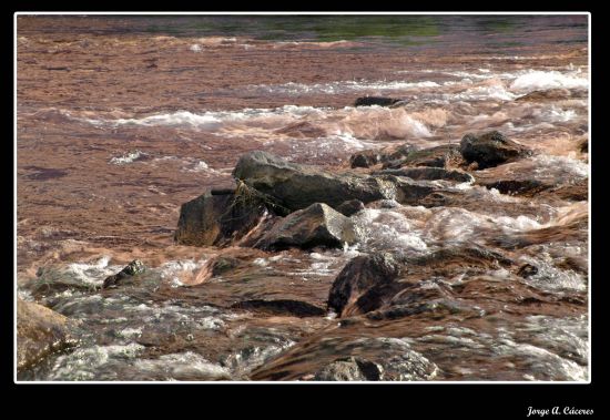 "`matices en el agua`" de Jorge A. Cceres