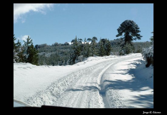 "`.... en la nieve l`" de Jorge A. Cceres