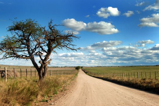 "Norte cordobs" de Carlo Legnazzi