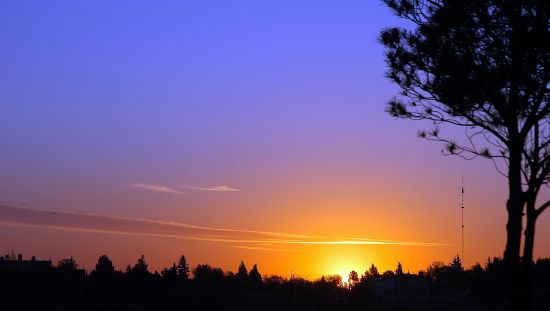 "`atardecer en el parque`" de Jorge A. Cceres