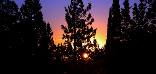 "` Atardecer en el parque l`" de Jorge A. Cceres