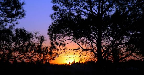 "` Atardecer en el parque ll`" de Jorge A. Cceres