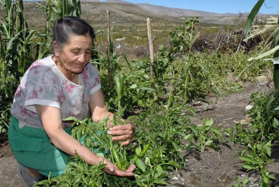 "Orgullo por el logro" de Jorge A. Cceres