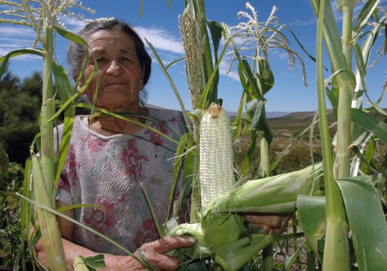 "Orgullo por el logro l" de Jorge A. Cceres