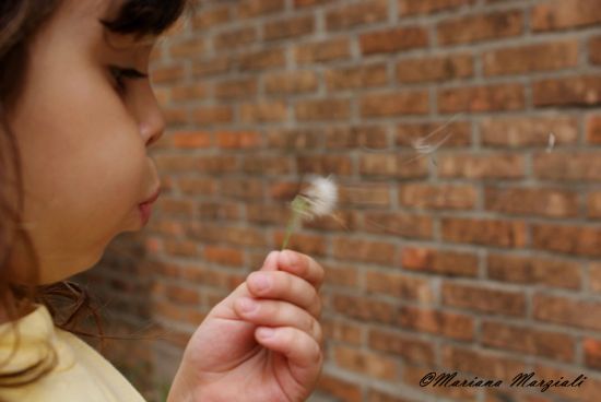 "Soplando..." de Mariana Marziali