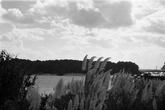 "Viento" de Claudia Niro