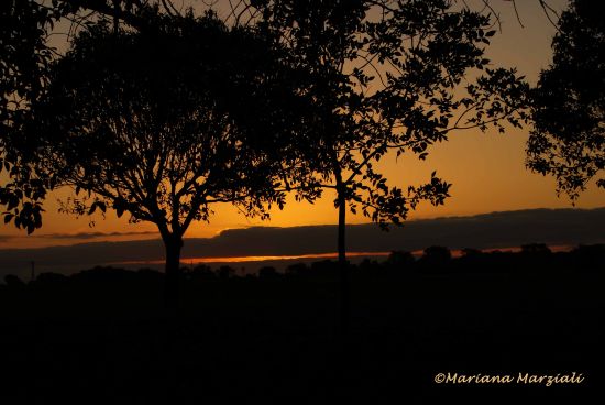 "Domingo al atardecer" de Mariana Marziali