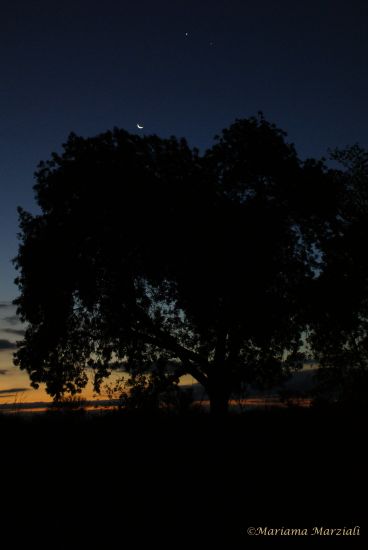 "Otro atardecer.." de Mariana Marziali