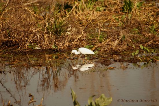 "De pesca en la laguna" de Mariana Marziali