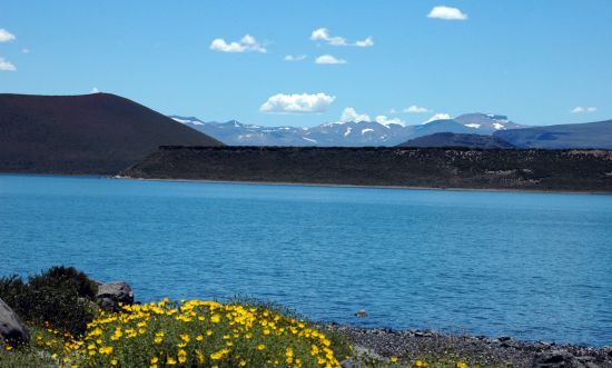 "`Colores de mi corazn`" de Jorge A. Cceres