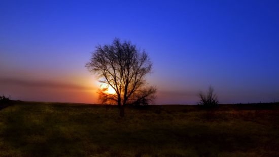 "` Tarde en el Campo`" de Jorge A. Cceres