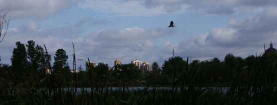 "Vuelo panormico" de Mariana Marziali