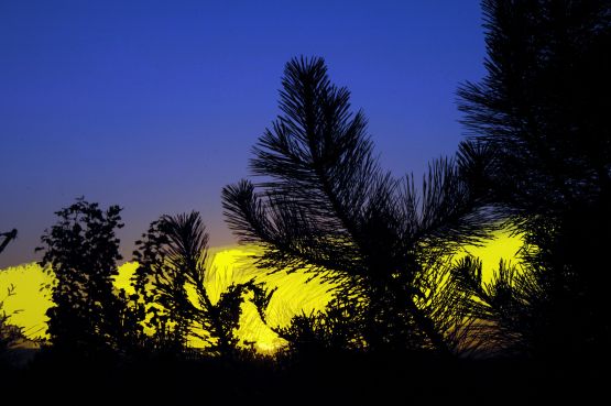 "`atardecer boquense`" de Jorge A. Cceres