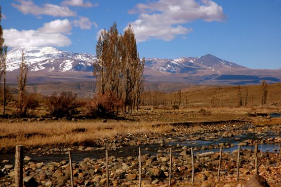 "` De paso a Andacollo`" de Jorge A. Cceres