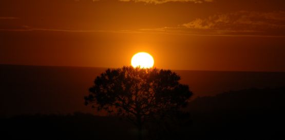 "` Mis Atardeceres`" de Jorge A. Cceres