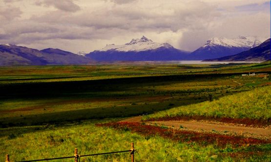 "camino en Calafate" de Stella Maris Kippke