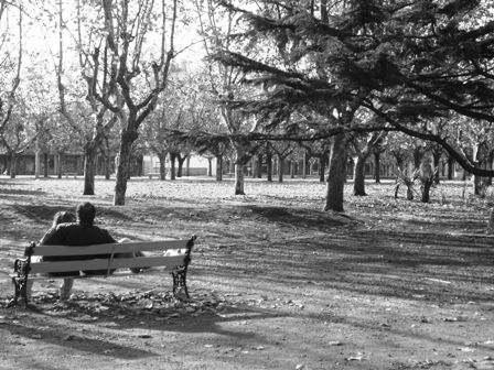 "plaza Dardo Rocha" de Silvina Romero