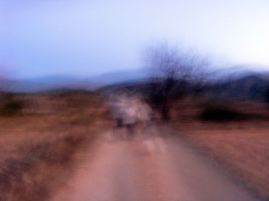 "Paseo al atardecer" de Francisco Jos Cerd Ortiz