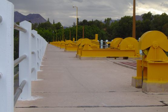 "Patos al agua" de Csar Manrique