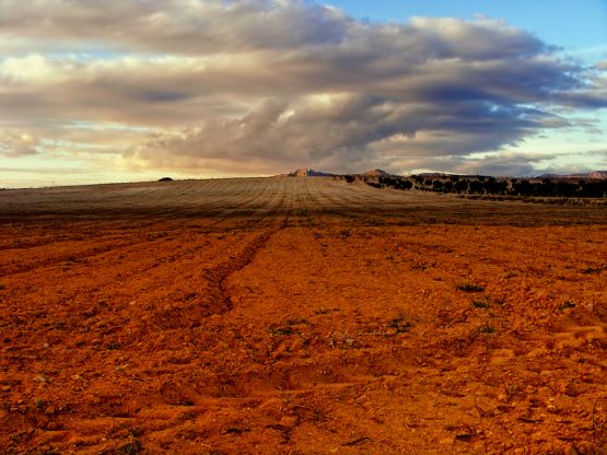 "Paramo" de Francisco Jos Cerd Ortiz