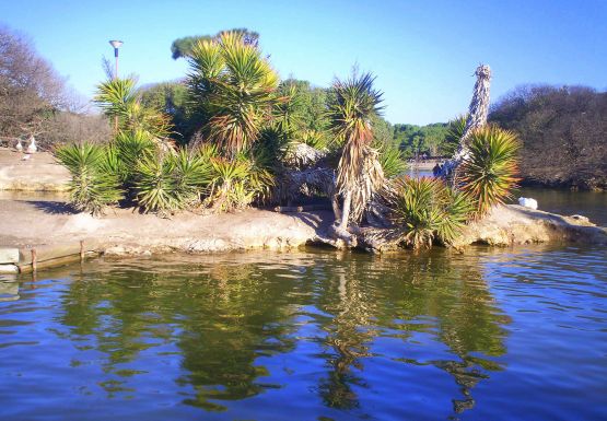 "reflejos en el lago" de Silvina Romero