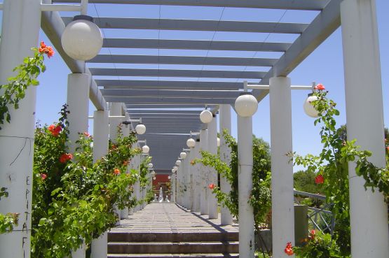 "Caminando lentamente bajo las pergolas" de Csar Manrique