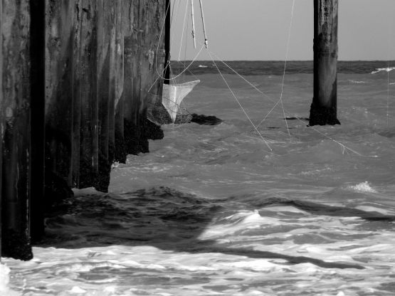 "Muelle II" de Claudia Niro