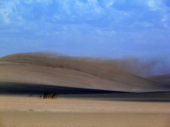 "Dunas II" de Claudia Niro