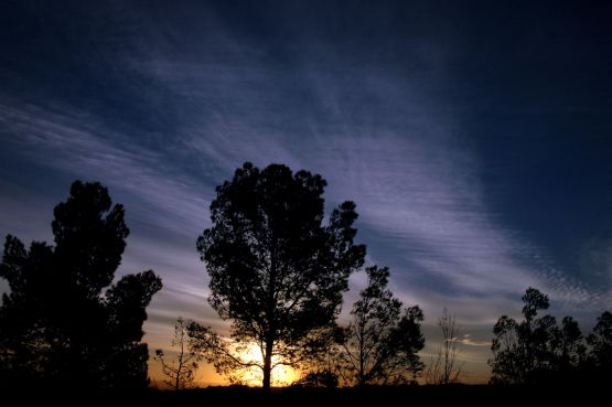 "`Tarde `" de Jorge A. Cceres