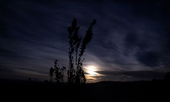 "` Se fue la tarde`" de Jorge A. Cceres