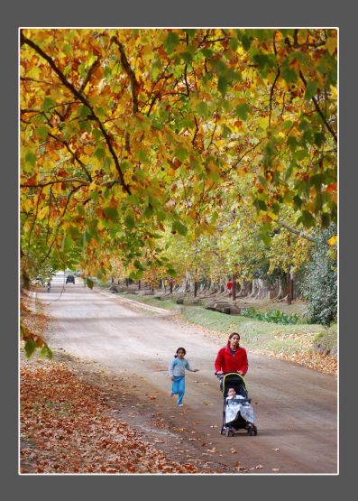 "Un paseo en Totoral" de Carlo Legnazzi