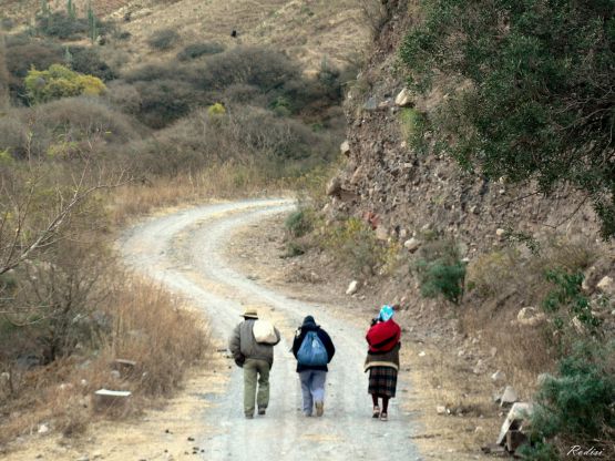 "Camino a casa" de Roberto Di Siervi