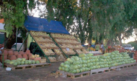 "sandias,melones,manies...." de Silvina Romero