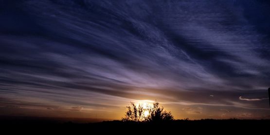 "` Cielo...para  Elvira`" de Jorge A. Cceres