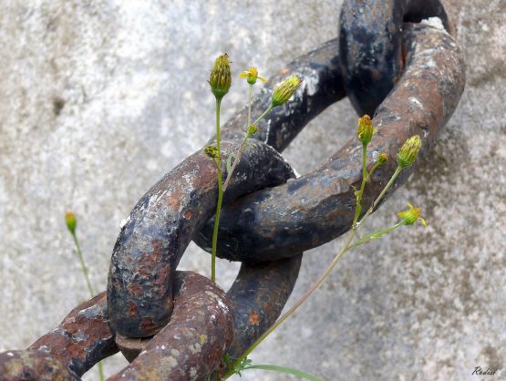 "Romper cadenas" de Roberto Di Siervi