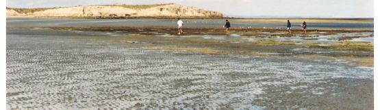 "playas -bardas con marea baja" de Beatriz Di Marzio