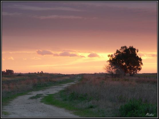 "Caminito pampeano" de Roberto Di Siervi