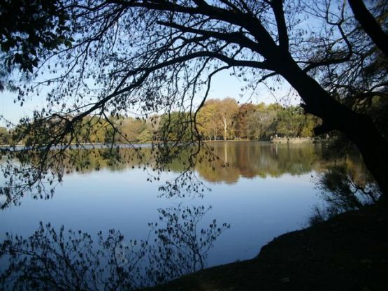 "Parque de mi ciudad." de Ana Llaneras.