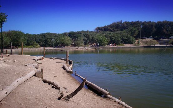 "lago de los cisnes" de Silvina Romero