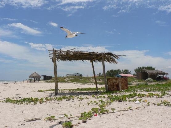 "PLAYA SOLA" de Julian Diaz Hernandez