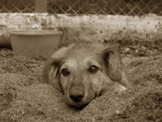 "Mirada!" de Angeles Merchan