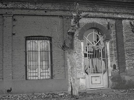 "recuerdos de la vieja casona." de Ana Llaneras.