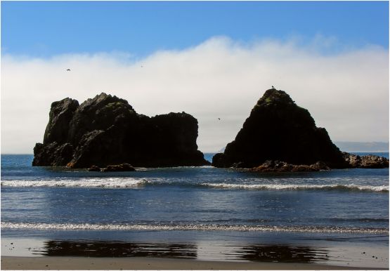 "playa Puihuil" de Ricardo Baigorria