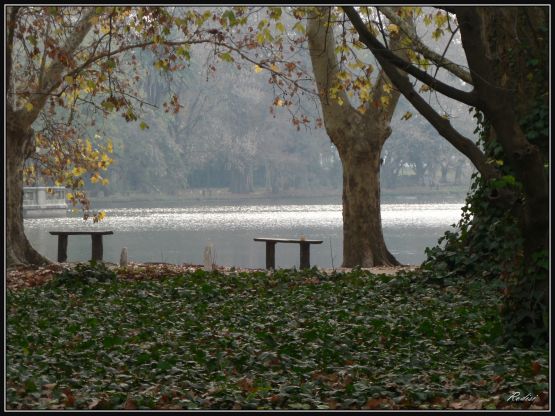 "Viejo parque" de Roberto Di Siervi