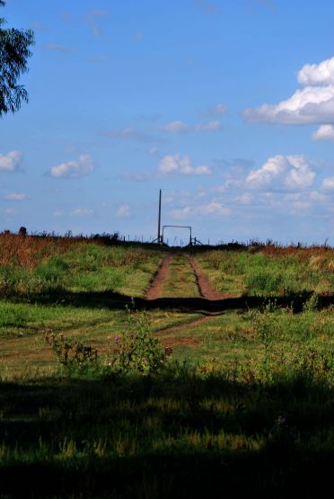 "Entrada" de Daniel Omar Alamo