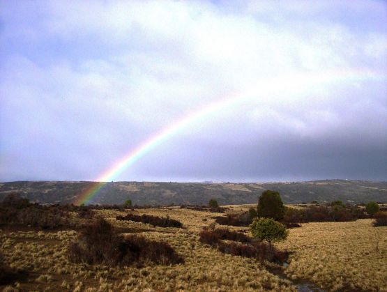 "Arco iris" de Maria Rom