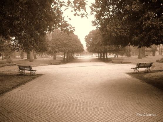 "niebla matinal-2-" de Ana Llaneras.